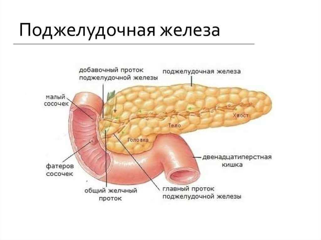 Железа